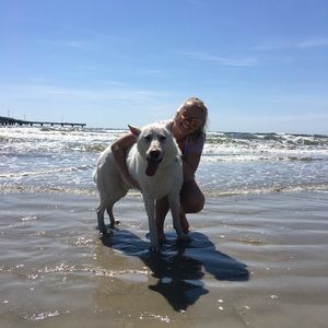 Meet your Posher, Coral